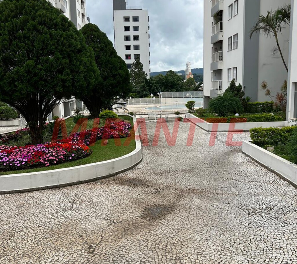 Apartamento de 55m² com 2 quartos em Lauzane Paulista
