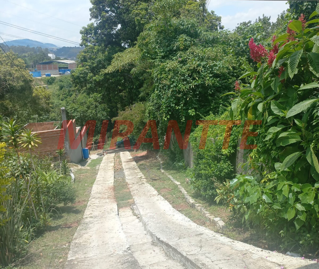 Terreno de 245m² em Jardim Francisco Mendes