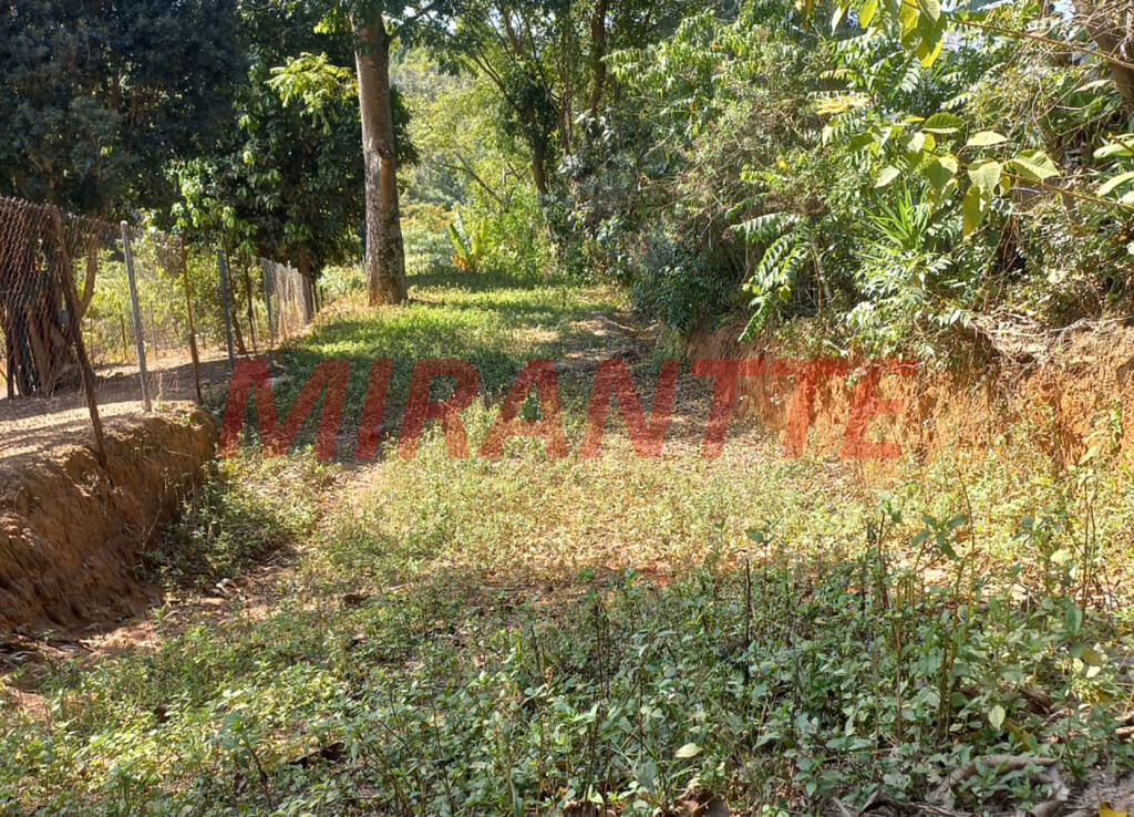 Terreno de 245m² em Jardim Francisco Mendes