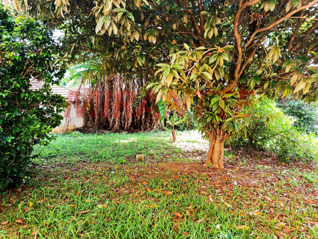 Casa terrea de 180m² com 2 quartos em Jardim Floresta