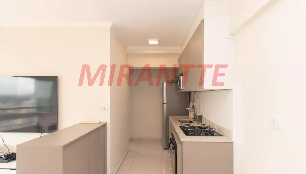 Apartamento de 43m² com 2 quartos em Vila Santa Terezinha