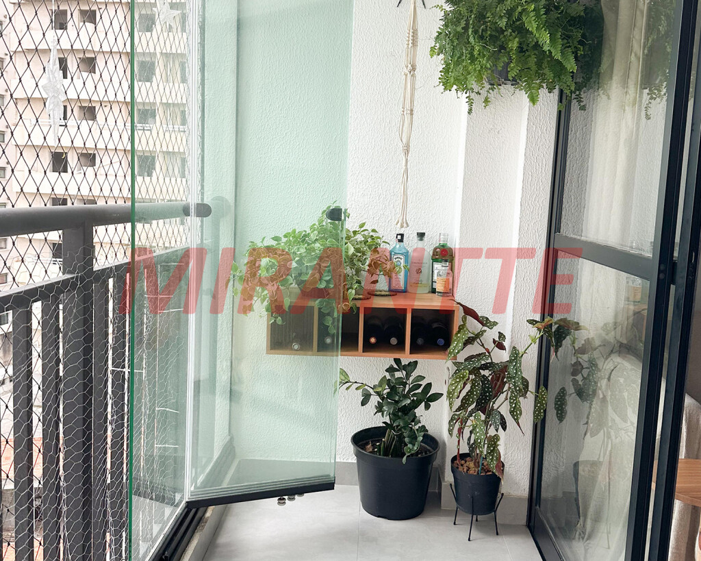 Apartamento de 47m² com 2 quartos em Mandaqui