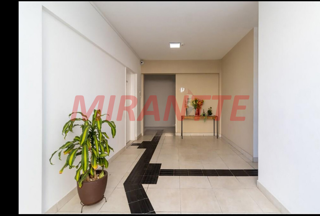 Apartamento de 52m² com 2 quartos em Lauzane Paulista