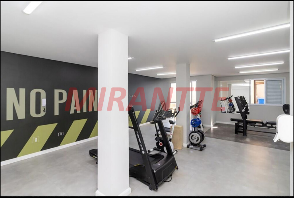Apartamento de 52m² com 2 quartos em Lauzane Paulista