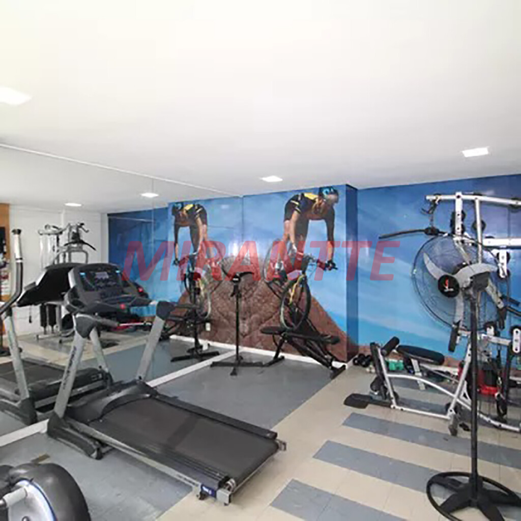 Apartamento de 47m² com 2 quartos em Vila Amalia