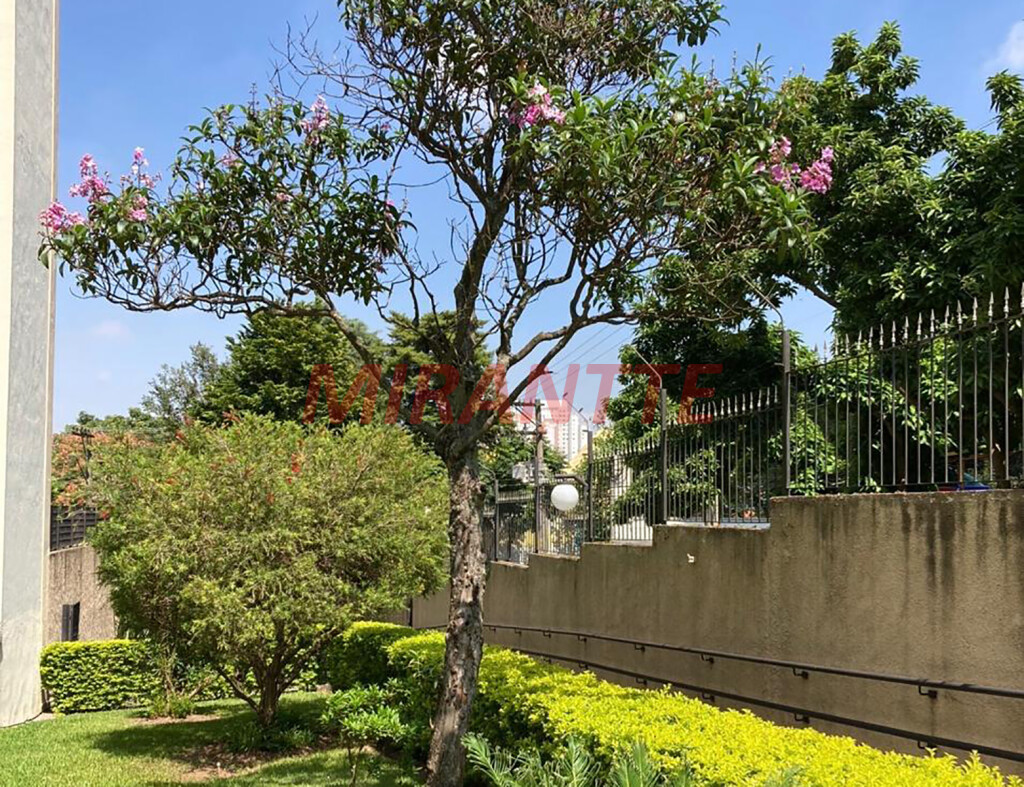 Apartamento de 73m² com 2 quartos em Vila Amelia