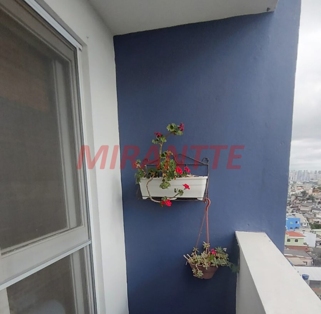 Apartamento de 54m² com 2 quartos em Casa Verde Alta