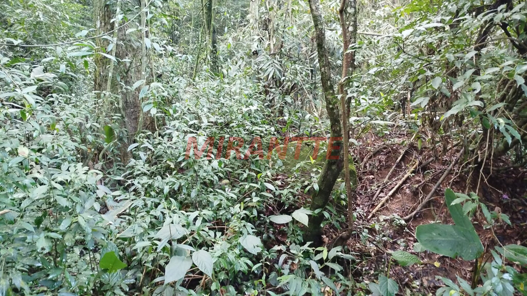 Terreno de 1700m² em SANTA INÊS