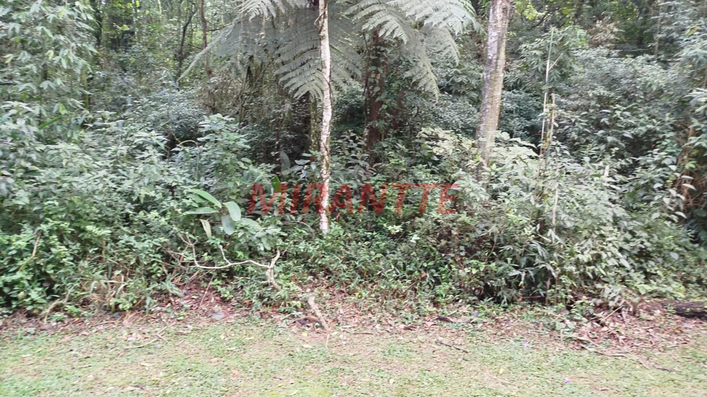 Terreno de 1700m² em SANTA INÊS