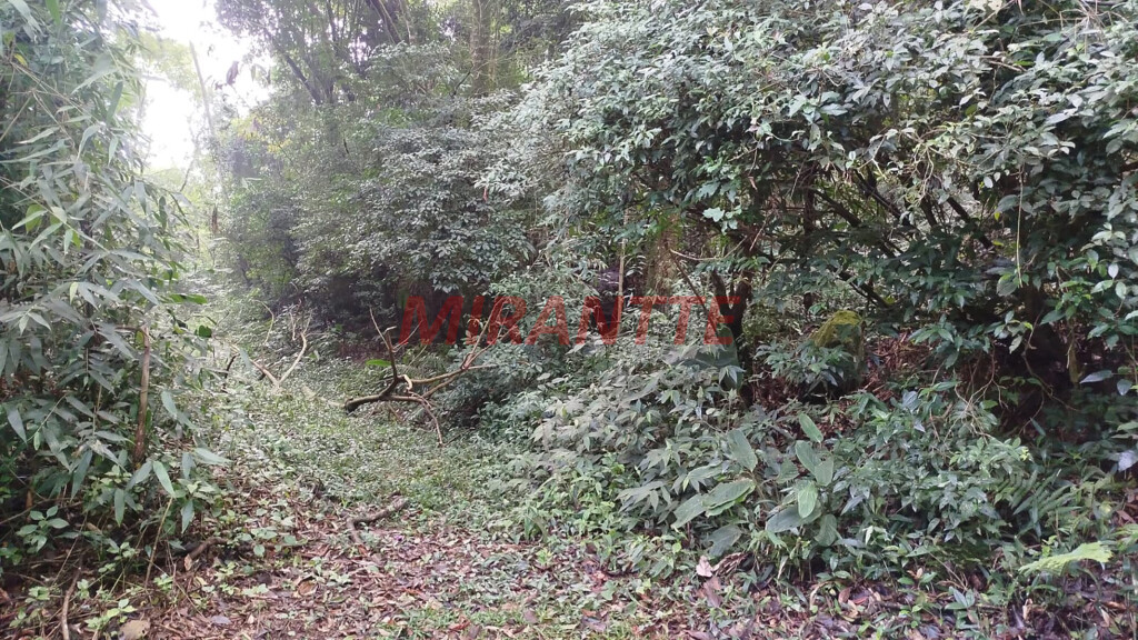Terreno de 1700m² em SANTA INÊS