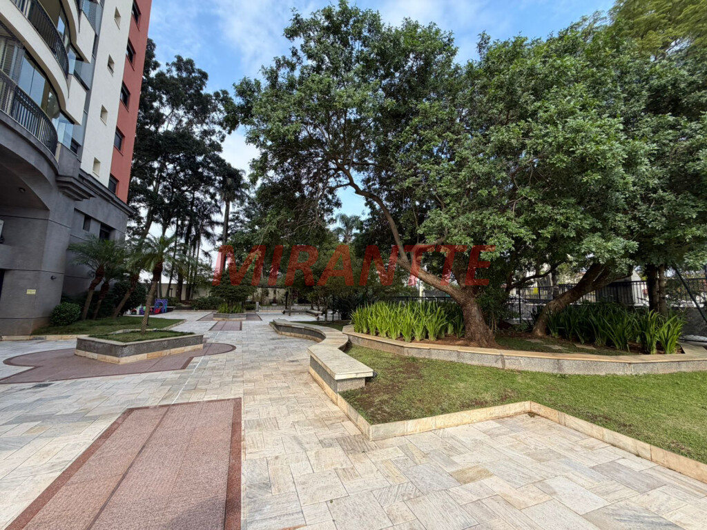 Apartamento com 3 quartos em Mandaqui