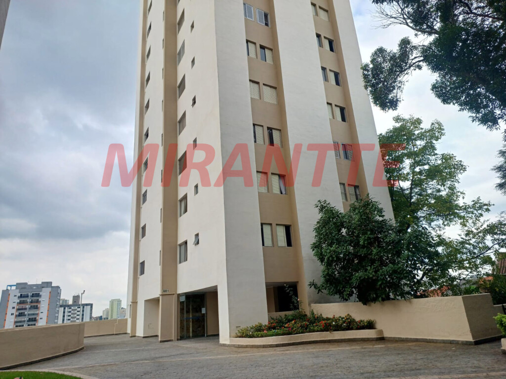 Apartamento de 53m² com 2 quartos em Tucuruvi