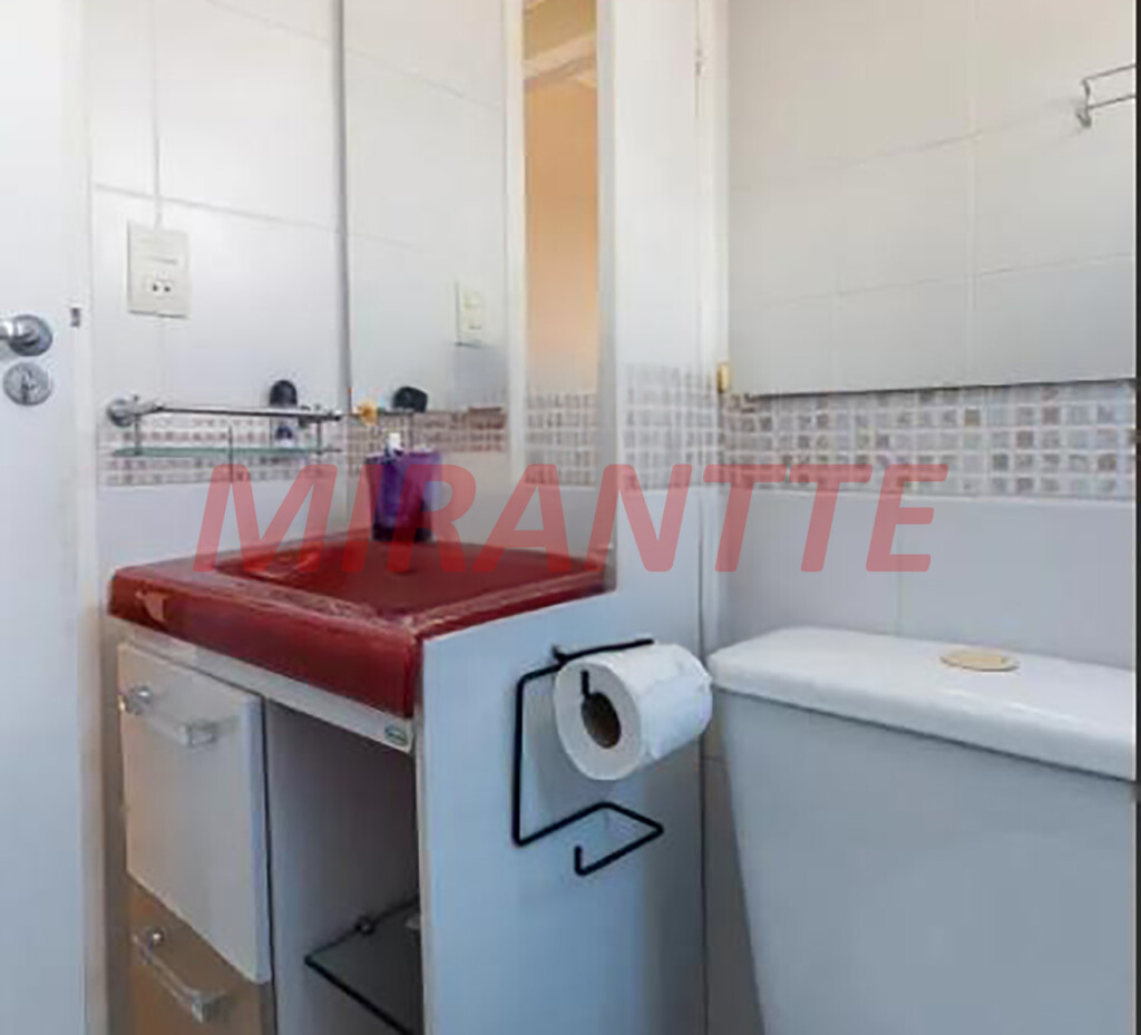 Apartamento de 53m² com 2 quartos em Lauzane Paulista