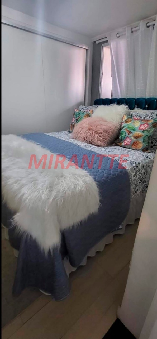 Casa terrea de 300m² com 7 quartos em Vila Pauliceia