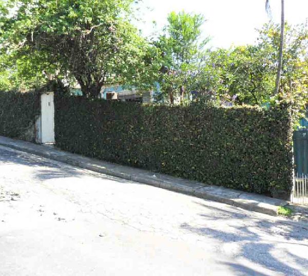 Casa terrea de 150m² com 1 quarto em Limão