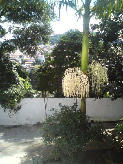 Casa terrea de 250m² com 2 quartos em Tremembe