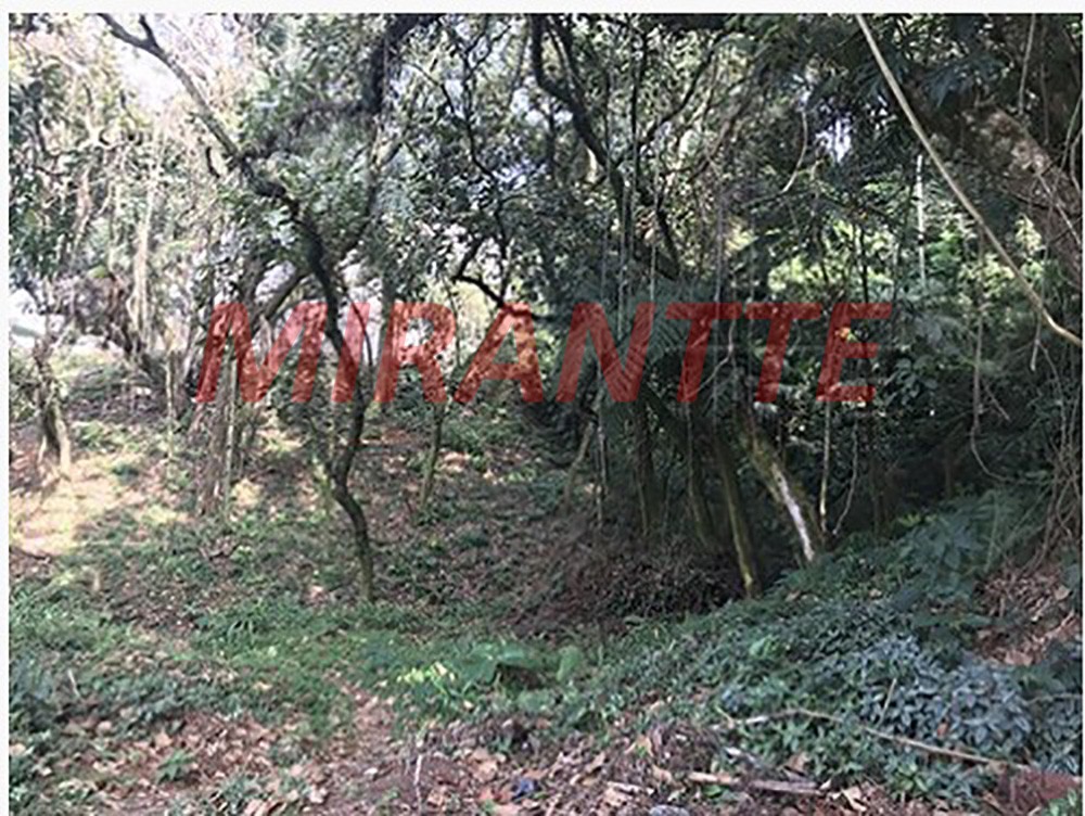 Terreno de 1945m² em Horto Florestal