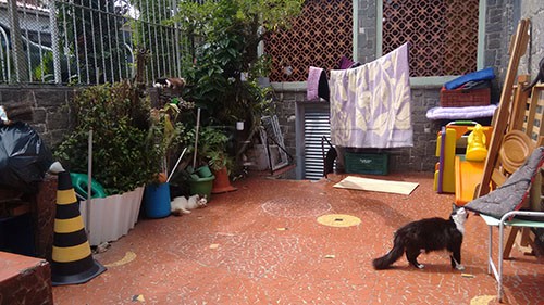 Casa terrea com 3 quartos em Vila Nivi