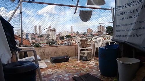 Casa terrea com 3 quartos em Vila Nivi
